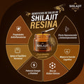 Resina Shilajit