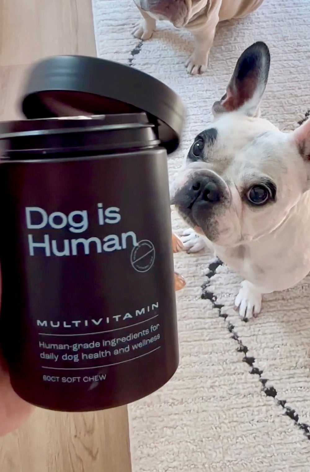Multivitamina para Perros - 90 Pastillas Masticables